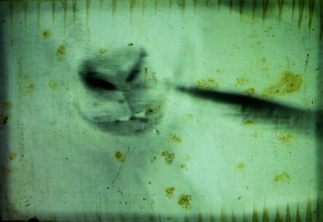 courtesy of the Wooster Group