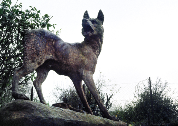 Bertrand Lamarche, Le loup de Methendal, 2014 Courtesy Galerie Jérôme POGGI, Paris