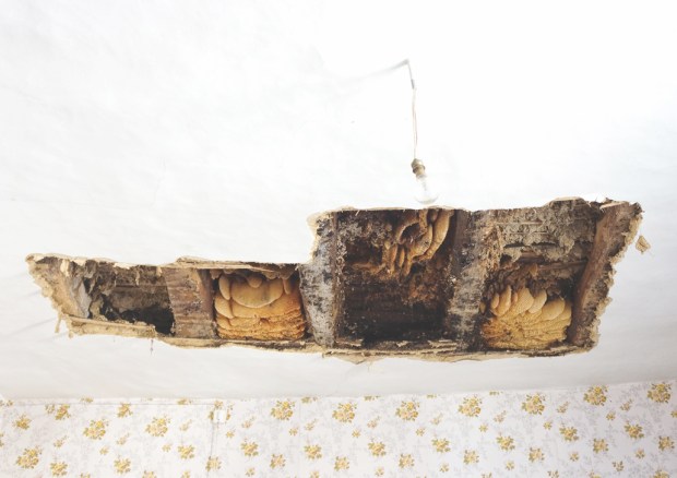 web l'excavation d'un essaim évacué