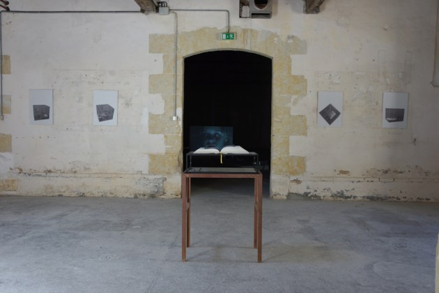 Maxime Bondu, Macrotopographic Atlas. Courtesy Galerie Jérôme Poggi, Paris.  Photo © James Porter  