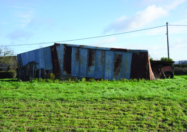 2016 die schöne müllerin verso web