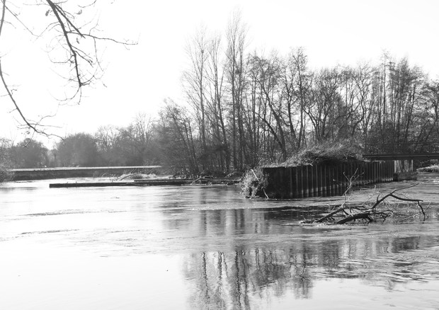 web cog_cognition recto2