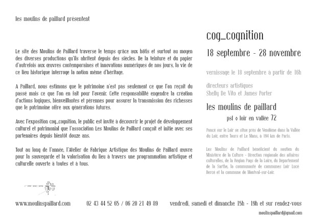 webcog_cognition verso