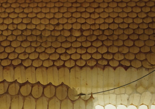 webPuis-je vous servir?recto