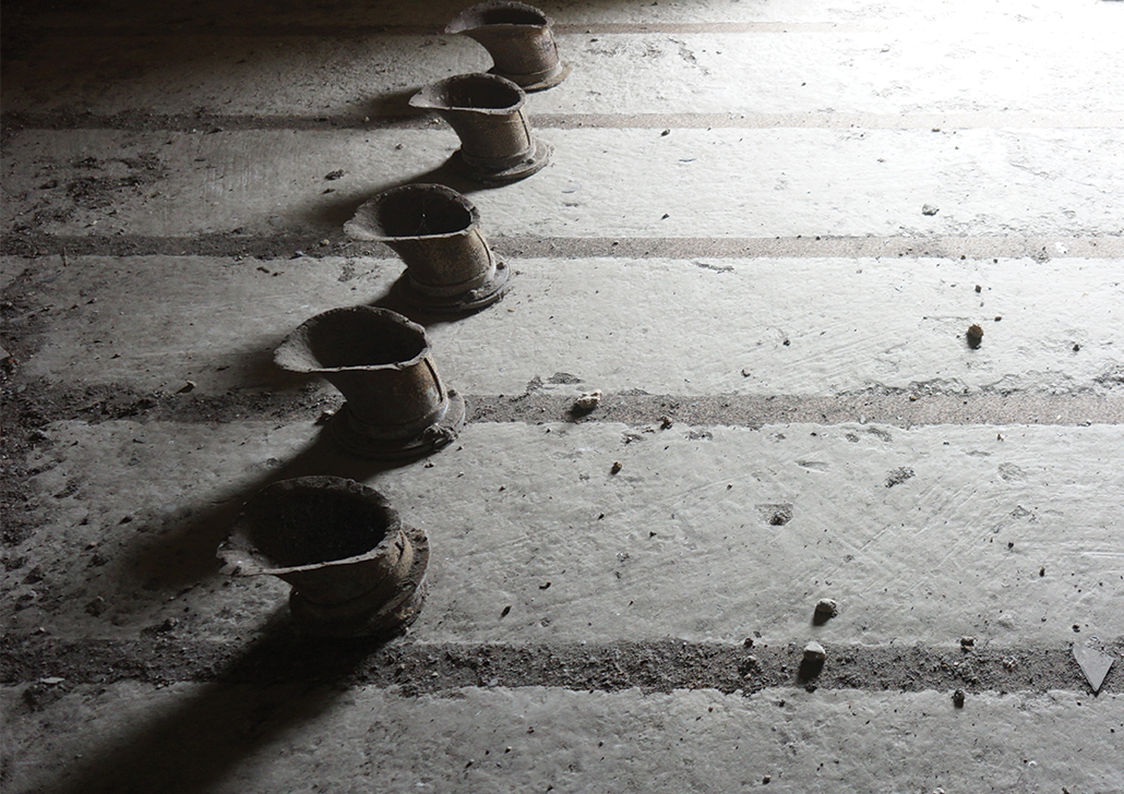 web recto Under HOMER's protection 5jun