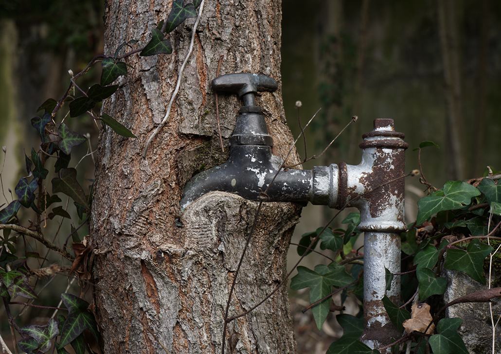 web2024 academie recto